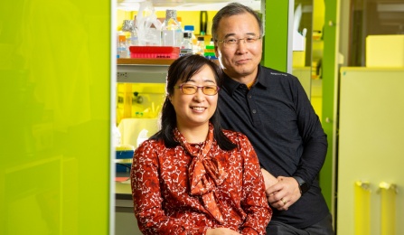 Portrait of Soo-Kyung Lee (right) and Jae W. Lee (left), researchers with Biological Sciences in the College of Arts and Sciences. Photographed in February 2020 in a research lab in Cooke Hall. Photographer: Douglas Levere. 