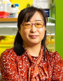 Portrait of Jae W. Lee, a researcher and professor with Biological Sciences in the College of Arts and Sciences. Photographed in February 2020 in a research lab in Cooke Hall. Photographer: Douglas Levere. 