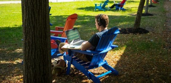 Student reading laptop in chair under tree. 