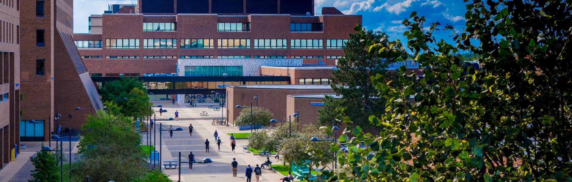 Exterior aerial image on students walking along the Promenade on North Campus in the fall. 
