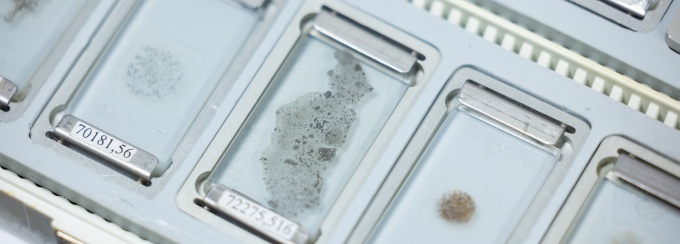 Student holding samples of moon rocks in volcanology lab. 