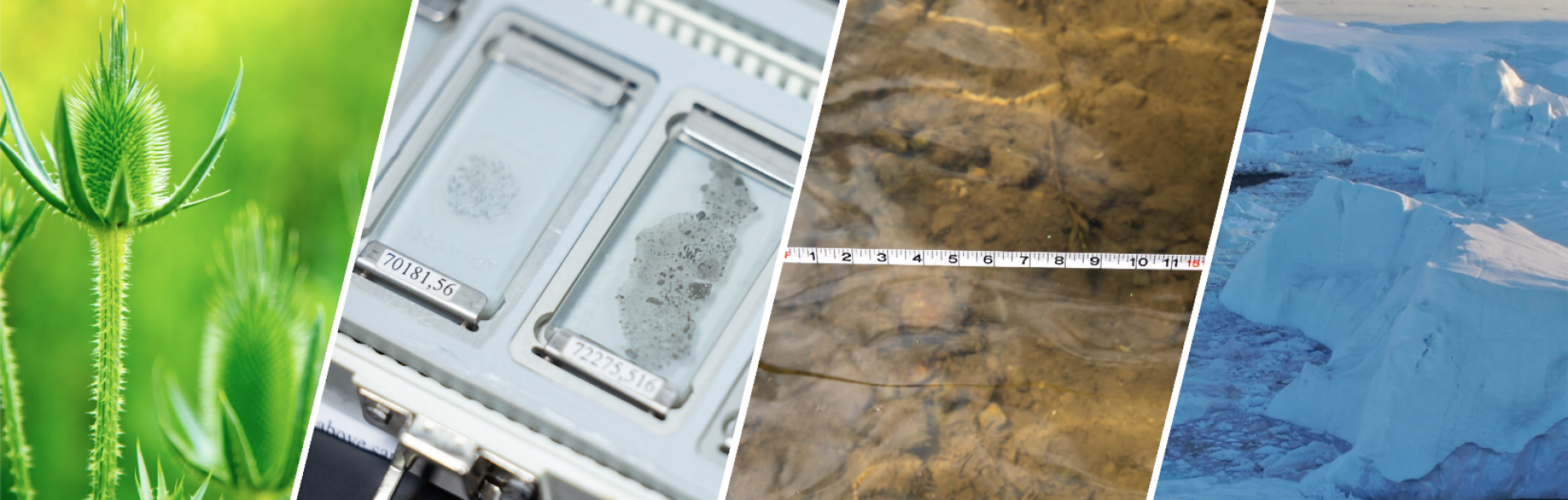 Expansive view of Arctic sea ice and towering icebergs along the Greenland coast at sunset, highlighting the dramatic blue tones and fractured ice. 