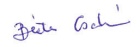 Bea Csatho Signature. 