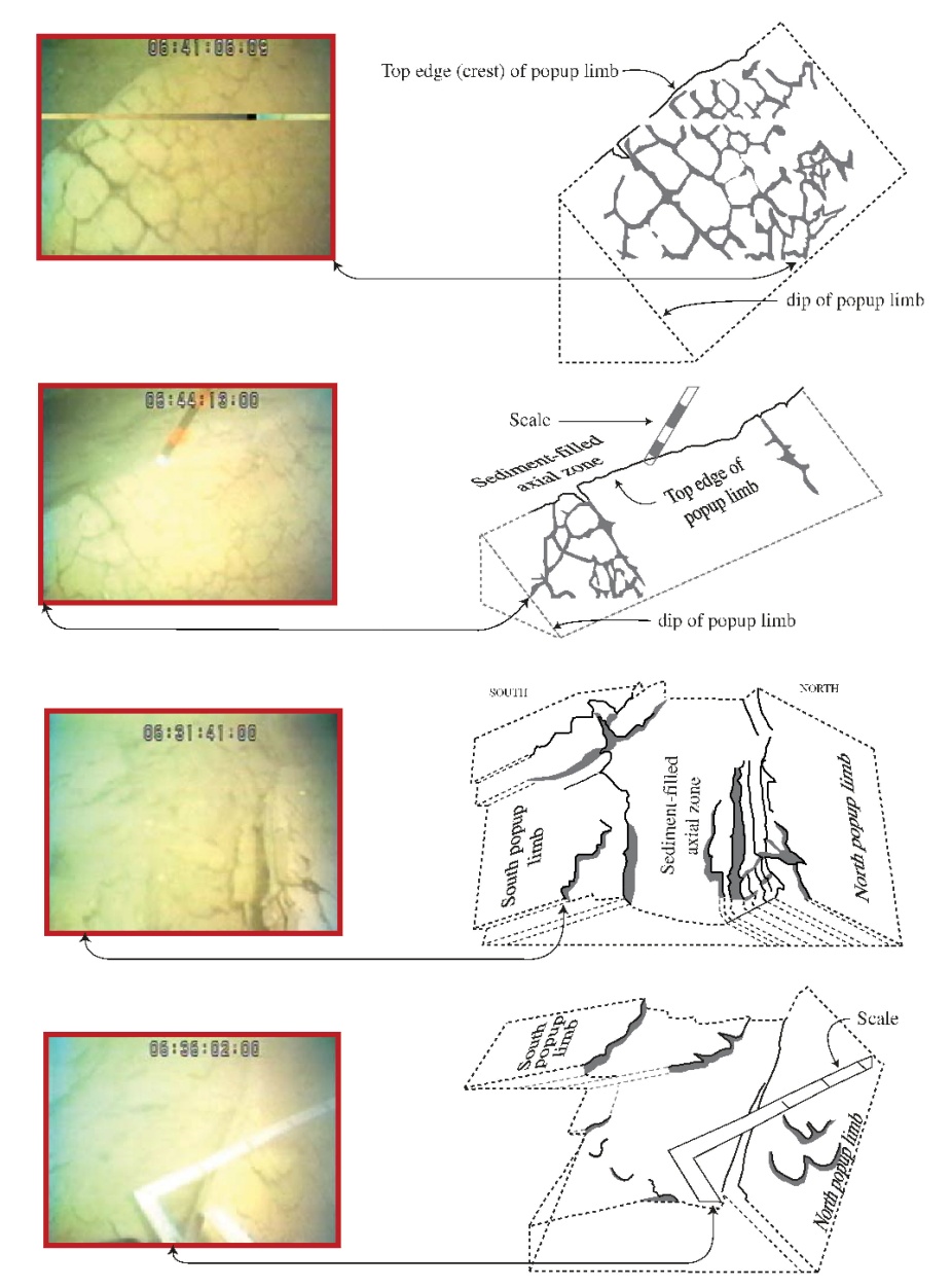 Zoom image: Figure 4. Photographs and interpretations from submersible dives on a popup in Lake Ontario near Toronto.  The upper two panels display the relatively steeply dipping, fractured north limb of the popup. Lower two panels display the axial zone of popup (note opposing dips on opposite limbs and angular corners on limbs). Scale divisions are 10 cm in both panels. Sediment infill in the center of the popup indicates that the feature probably developed during earlier, faster rates of glacial rebound. (Jacobi et al., 2007) 