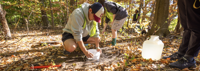 Student obtaining soil sample. 