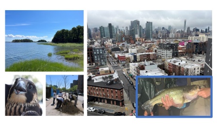 February 16 Seminar - Department of Environment and Sustainability