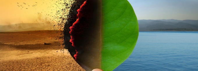 Climate change leaf. 