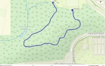 Letchworth Teaching Forest blue trail. 