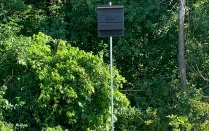 Zoom image: Bat Houses - July 2021 (Photo by Sean Lepo) 