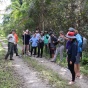 Students searching in the Everglades for invasive pythons. 