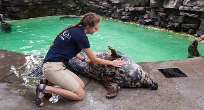 UB student Elizabeth Kaplan at her internship at the Niagara Aquarium in Niagara Falls, NY. Photographer: Meredith Forrest Kulwicki. 