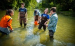 Zoom image: Corey Krabbenhoft, with the department of Biological Sicences conducts research in Ellicott Creek on North Campus in September 2023. Her team collected mussels from the creek. Photographer: Douglas Levere