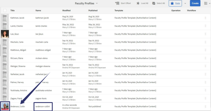 Zoom image: screenshot highlighting the copy pasted faculty profile