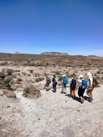 Zoom image: Death march to outcrops of the Peach Spring Tuff in the Mojave Desert. Plenty of exposure!  Photo by: Kiersten Hottendorf. 