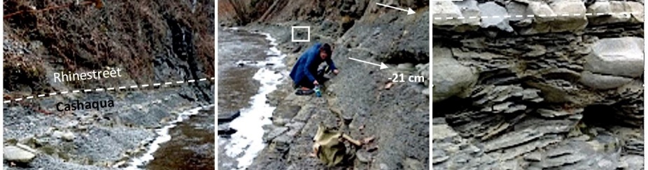 Kimberly Bartlett (nee Tercero; BS 2020) collecting shale samples in Eighteenmile Creek, Eden, New York at the Cashaqua and Rhinestreet Formation contact. Concretion beds mark the beginning of the location of WNY microtektites and the final carbon isotope excursion of the punctata event. 
