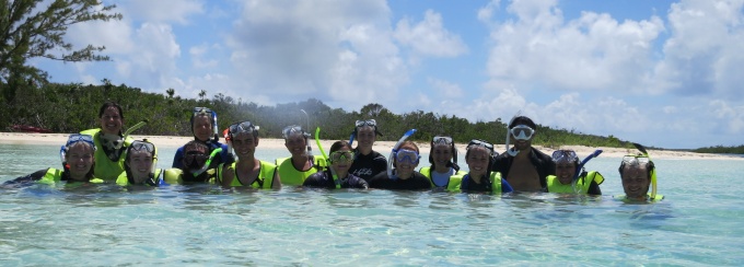 Students in scuba gear studying in the ocean. 