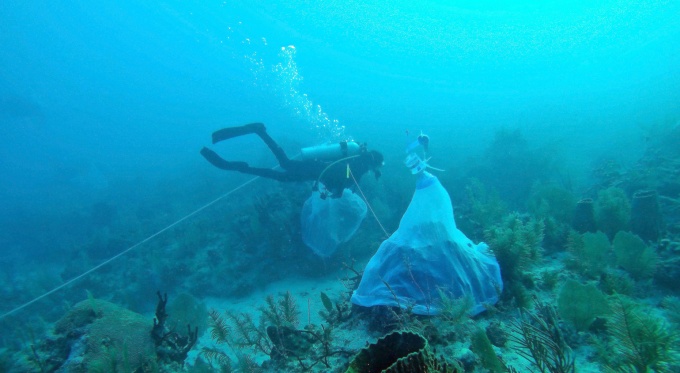 A student researcher in scuba gear gathering samples in the ocean. 