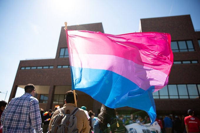 Bisexual pride flag.
