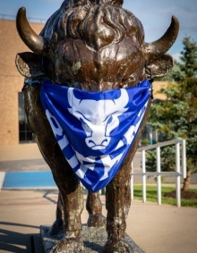 Bull sculpture with UB Bulls mask placed on it. 