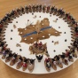 Overview shot of corn husk dolls in a circle from the "Thinking in Indian" art exhibit. 