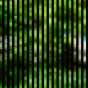 abstract art, black stripes overlay on green. 