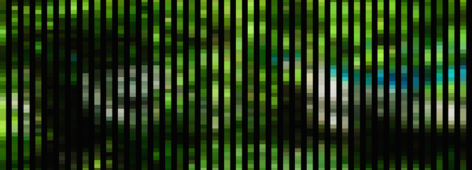 abstract art, black stripes overlay on green. 