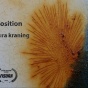 Laura Kraning's "de-composition". 