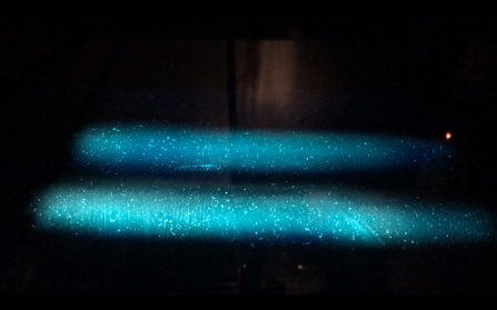 Alternative Cinema 4/21 • Livestream and Q&A w/ Filmmaker Kalpana Subramanian. 