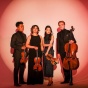 Viano Quartet. 