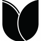 June in Buffalo logo. 