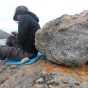 Anna McKeen working on the rocks in Greenland. 