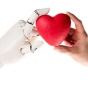 Robot hand and human hand holding red cloth heart. 