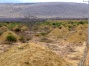 Termite mound fields. 