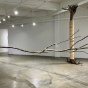 "WTF (Where's the Forest)" exhibit pieces including an entire tree, from roots to branches, suspended lengthwise from the ceiling and another tree with the trunk made of circular wooden disks. 
