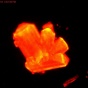 Crystals of a curium-containing compound with an orange glow, which the researchers used to monitor the changes in chemistry as they applied pressure. 
