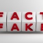Cubes displaying the words, "FACT" and "FAKE.". 