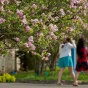 Students walking on the South campus in the springtime. 