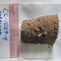 A sediment sample from the Camp Century core site. 