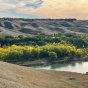A cottonwood forest adjacent to the Oldman River in Lethbridge in Alberta, Canada. 