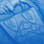 UB's crest in a blue tone. 