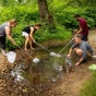 Teachers bend and crouch to collect water samples a small creekbed in Amherst State Park. 