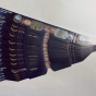 A bunch of eclipse glasses spread in a fan shape. 