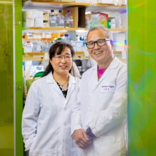 Soo-Kyung Lee and Jae Lee, leaders of the FOXG1 Research Center at the University at Buffalo, stand together in their lab after their newly developed drug was approved to begin clinical trials. 