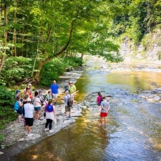 Educators explore a shallow river and its rocky banks during an Earth and environmental science field experience. 