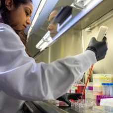 Shweta Chitkara, a medicinal chemistry PhD student, works in the lab of University at Buffalo chemist G. Ekin Atilla-Gokcumen. 