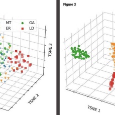 Two 3-dimentional graphs demonstrating how AI distinguishes cell structures using their natural biochemical signatures alone. 