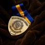 Gold University at Buffalo Chancellor's Award for Excellence medal with a blue-and-gold ribbon resting on dark fabric. 