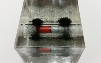 Zoom image: 3D magnetic field viewer 