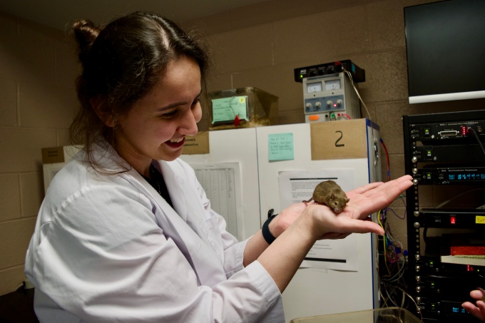 Doctoral Student in Comparative Bioacoustics Lab. 