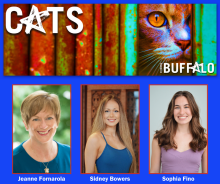 3 cast members and image of a cat. 